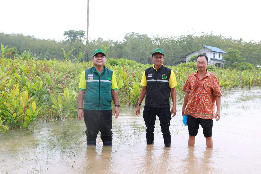 สนง.เกษตรสงขลาที่ 5 เร่งสำรวจพื้นที่เสียหาย เตรียมช่วยเหลือพี่น้องเกษตรกรภาคใต้ พร้อมฟื้นฟูพื้นที่การเกษตรทันทีหลังน้ำลด