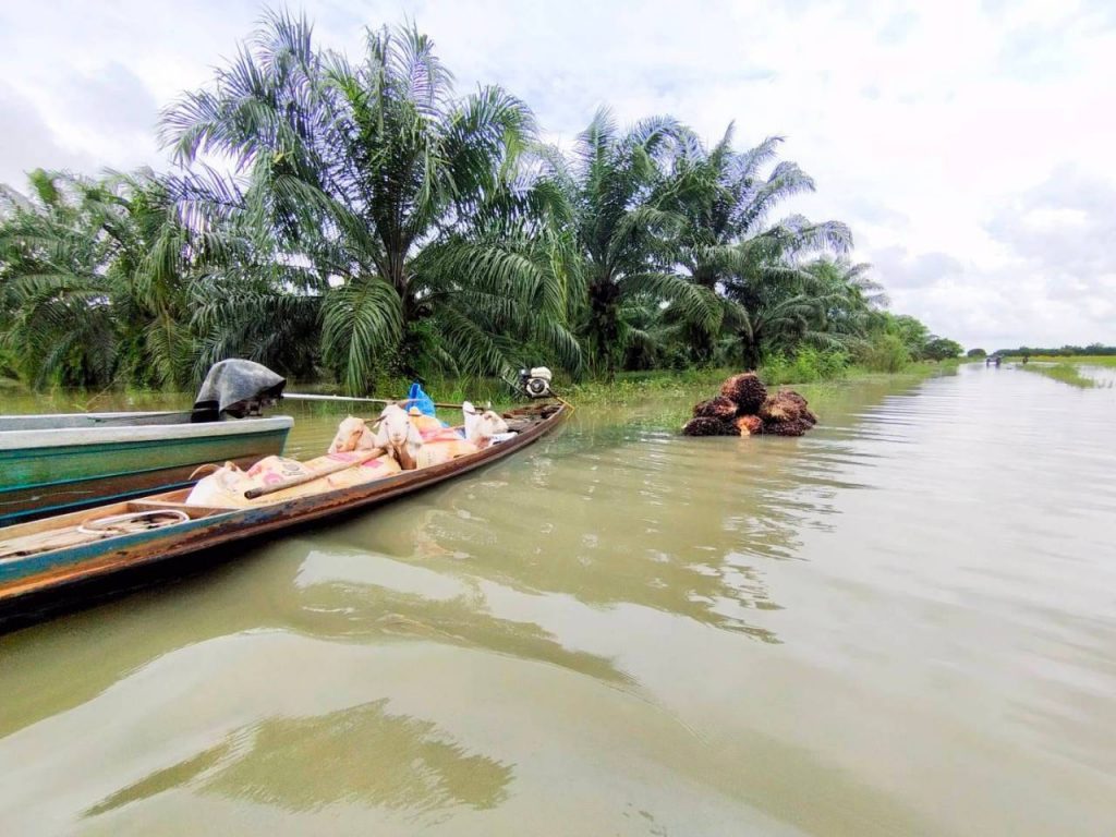 สนง.เกษตรสงขลาที่ 5 เร่งสำรวจพื้นที่เสียหาย เตรียมช่วยเหลือพี่น้องเกษตรกรภาคใต้ พร้อมฟื้นฟูพื้นที่การเกษตรทันทีหลังน้ำลด