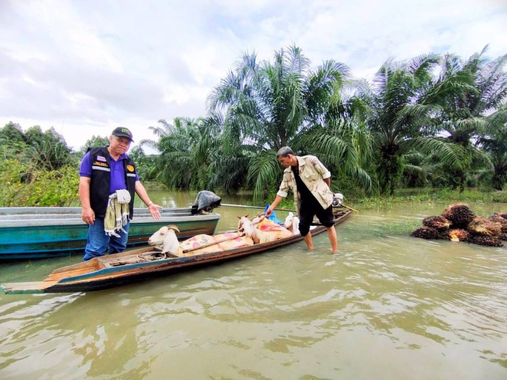 สนง.เกษตรสงขลาที่ 5 เร่งสำรวจพื้นที่เสียหาย เตรียมช่วยเหลือพี่น้องเกษตรกรภาคใต้ พร้อมฟื้นฟูพื้นที่การเกษตรทันทีหลังน้ำลด