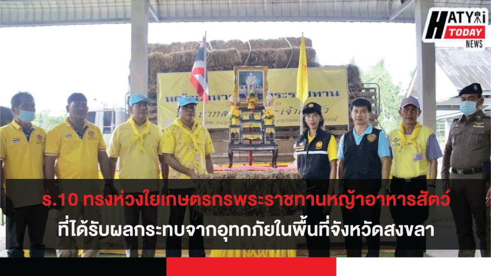 ร.10 ทรงห่วงใยเกษตรกรและปศุสัตว์ พระราชทานหญ้าอาหารสัตว์ที่ได้รับผลกระทบจากอุทกภัยในจ.สงขลา