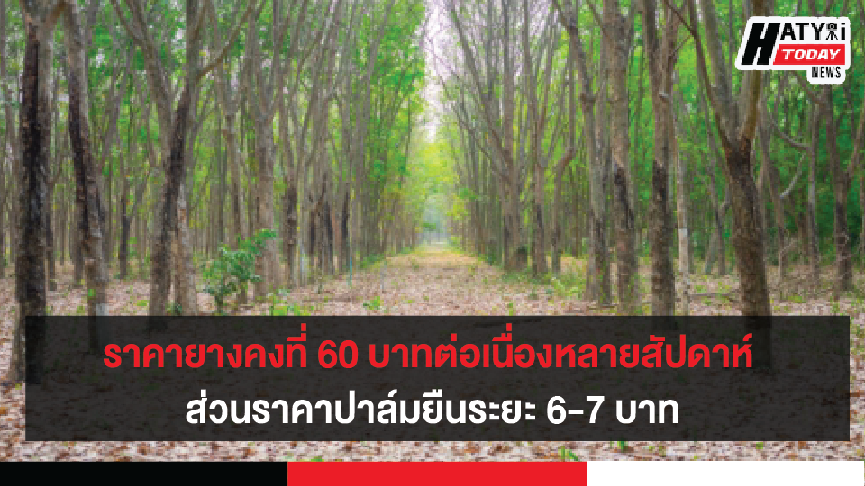 ปกข่าวใหม่ 01