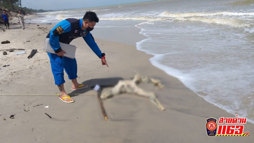 พบร่างผู้เสียชีวิตลอยทะเลมาติดอยู่บนหาดทราย อีก 1 ศพ อยู่ในสภาพเน่าเปื่อยเห็นโครงกระดูก คาดว่าเสียชีวิตมาไม่ต่ำกว่า 10 วัน