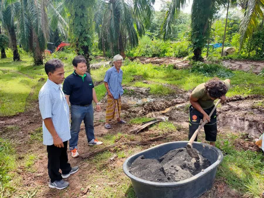 เกษตรกรภาคใต้มีเฮ ม.อร่วมกับสนง.เกษตรสงขลาประกาศ. ลดค่าบริการราคาพิเศษในการวิเคราะห์ตัวอย่างดินและใบปาล์มน้ำมัน