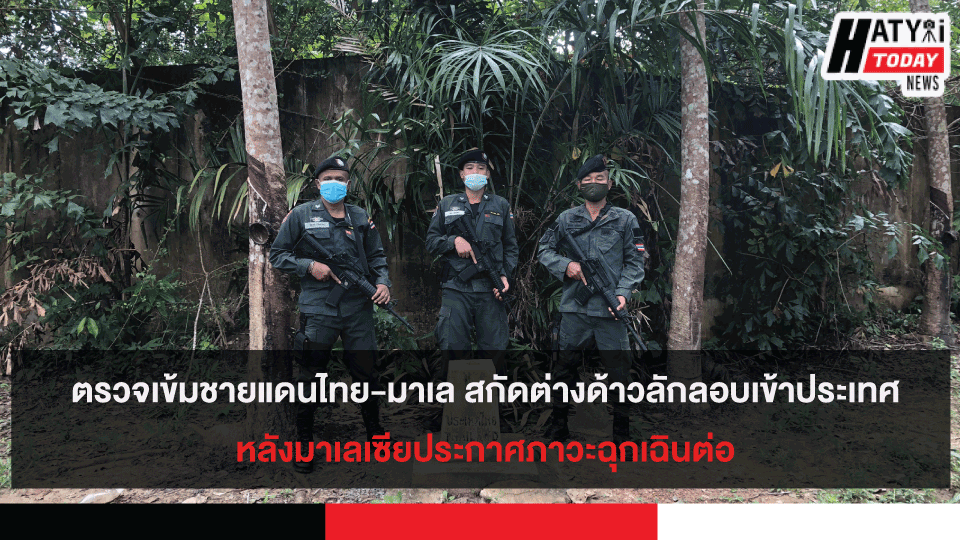 ปกข่าวสำหรับเฟส13 1 3