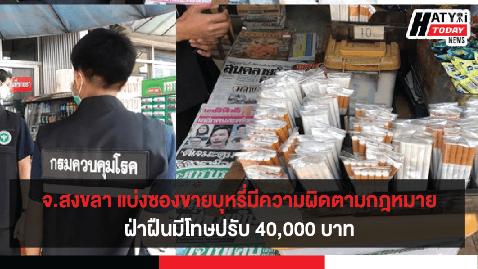 ปกข่าวใหม่ 01