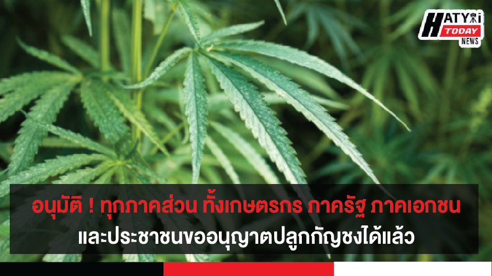 ปกข่าวใหม่ 01