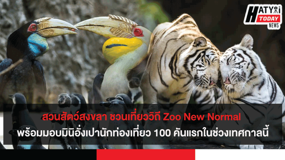 สวนสัตว์สงขลา ชวนเที่ยววิถี Zoo New Normal พร้อมมอบมินิอั่งเปานักท่องเที่ยว 100 คันแรกในช่วงเทศกาลนี้