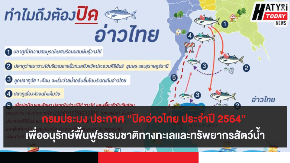 กรมประมง ประกาศ “ปิดอ่าวไทย ประจำปี 2564” เพื่ออนุรักษ์ฟื้นฟูธรรมชาติทางทะเลและทรัพยากรสัตว์น้ำ