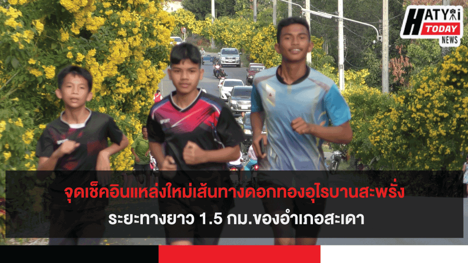 จุดเช็คอินแหล่งใหม่เส้นทางดอกทองอุไรบานสะพรั่ง ระยะทางยาว 1.5 กม.ของอำเภอสะเดา/2.mp4