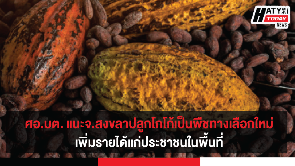 ปกข่าวใหม่ 01