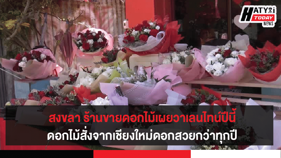 ปกข่าวใหม่ 01