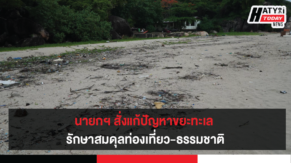 ปกข่าวใหม่ 01