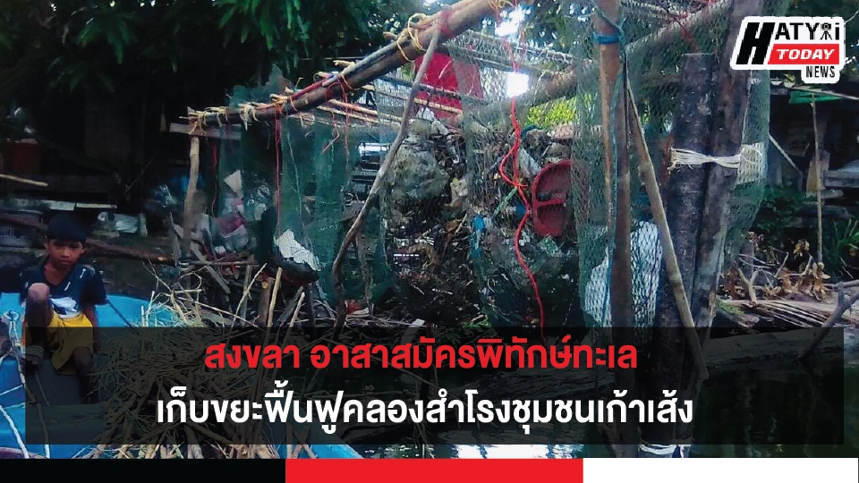 ปกข่าวใหม่ 01