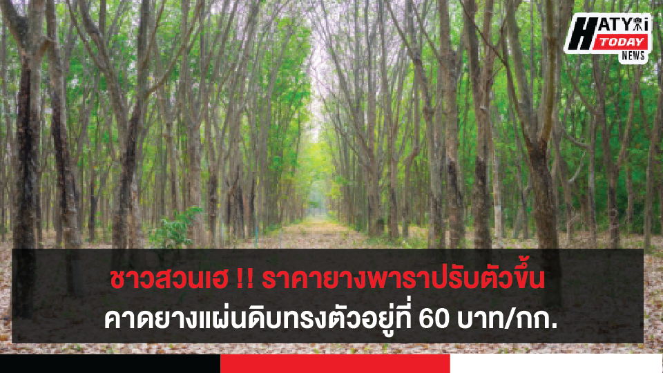 ปกข่าวใหม่ [recovered] 01