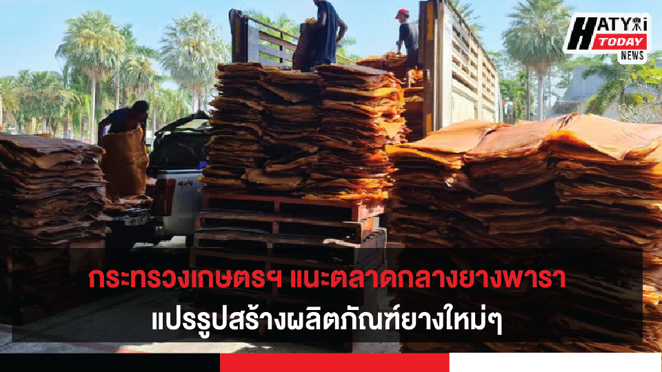 กระทรวงเกษตรฯ ติดตามการแก้ไขปัญหาและรักษาเสถียรภาพราคายาง ลงพื้นที่ตรวจตลาดกลางยางพารา