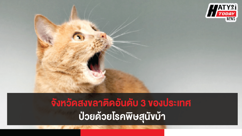 จังหวัดสงขลาติดอันดับ 3 ของประเทศ ป่วยด้วยโรคพิษสุนัขบ้า