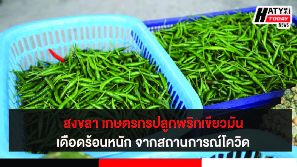 ปกข่าว 01