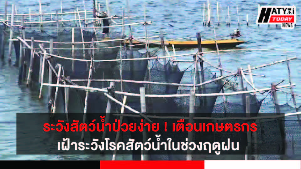 ระวังสัตว์น้ำป่วยง่าย ! เตือนเกษตรกรเฝ้าระวังโรคสัตว์น้ำในช่วงฤดูฝน