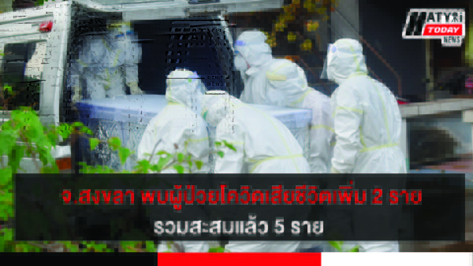 ปกข่าวใหม่ 01