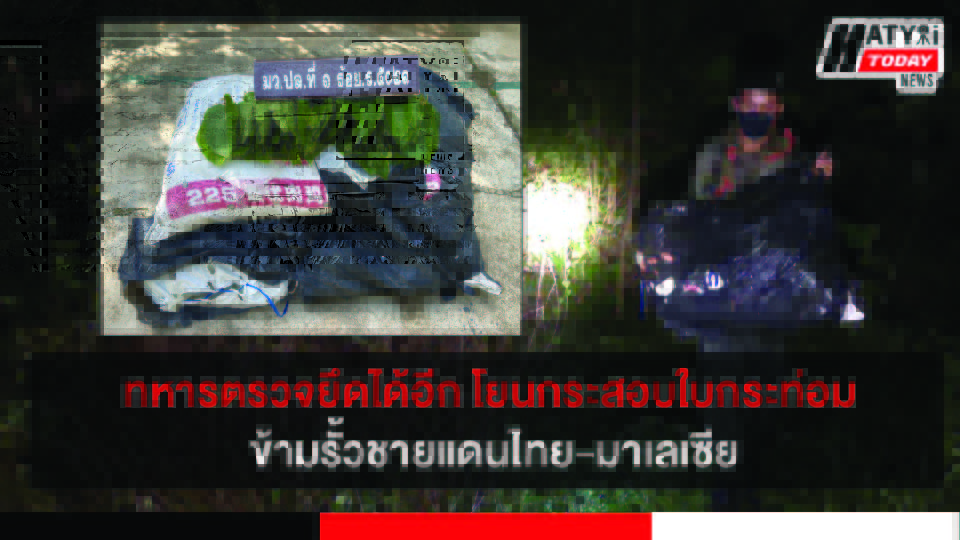 ปกข่าวใหม่ 01