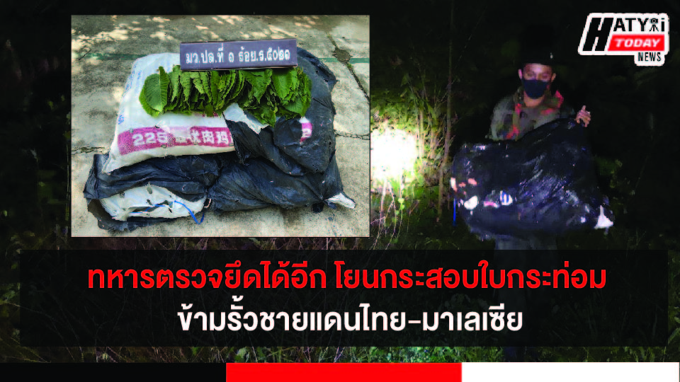 ปกข่าวใหม่ 01