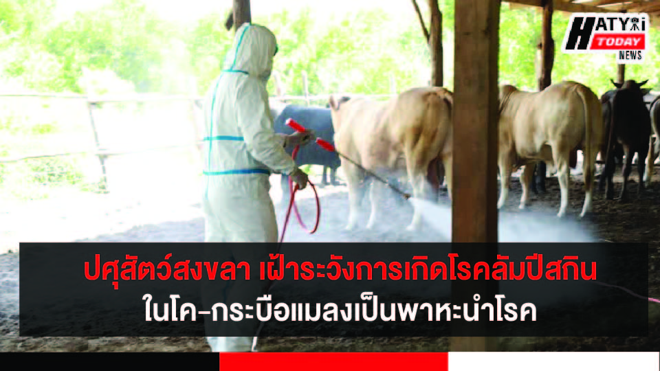 ปกข่าวใหม่ 01