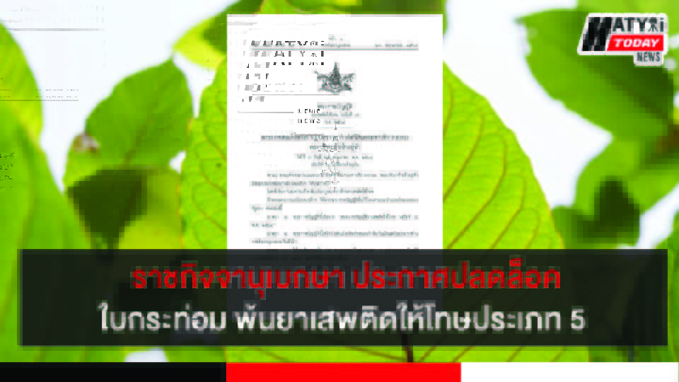 ราชกิจจานุเบกษา ออกประกาศปลดล็อค ใบกระท่อม พ้นยาเสพติดให้โทษประเภท 5