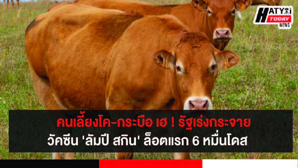 ปกข่าวใหม่ 01