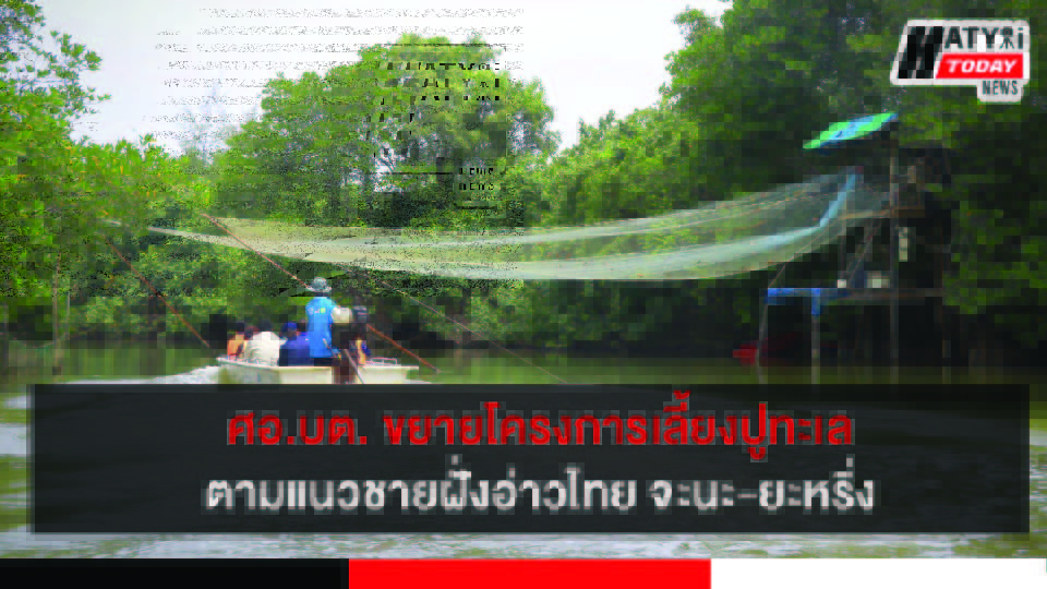 ปกข่าวใหม่ 01