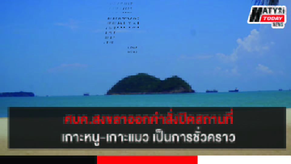 ปกข่าวใหม่ 01