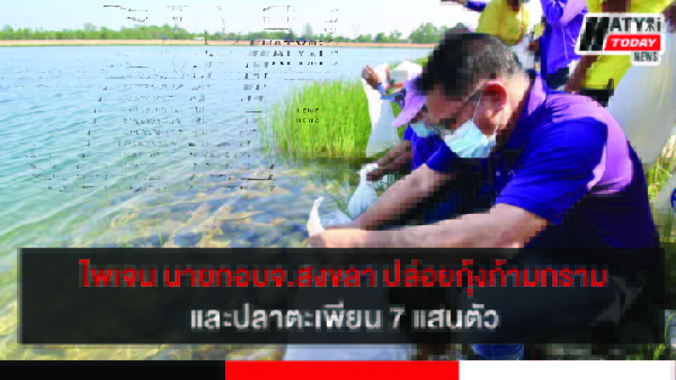 ปกข่าวใหม่ 01