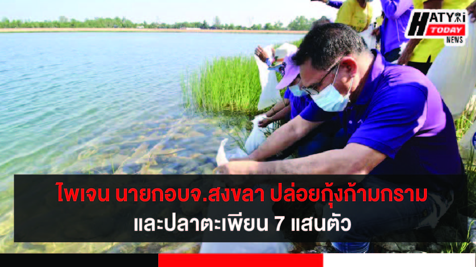 ปกข่าวใหม่ 01