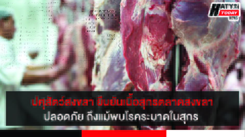 ปกข่าว 01