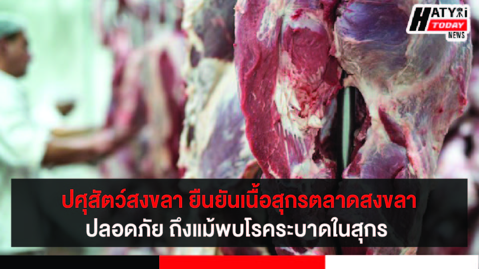 ปศุสัตว์สงขลา ยืนยันเนื้อสุกรชำแหละตลาดสงขลา มีความปลอดภัยหลังพบโรคระบาดในสุกร  4 อำเภอ