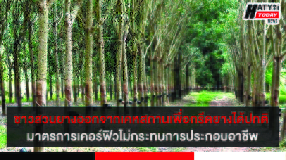 ปกข่าว 01
