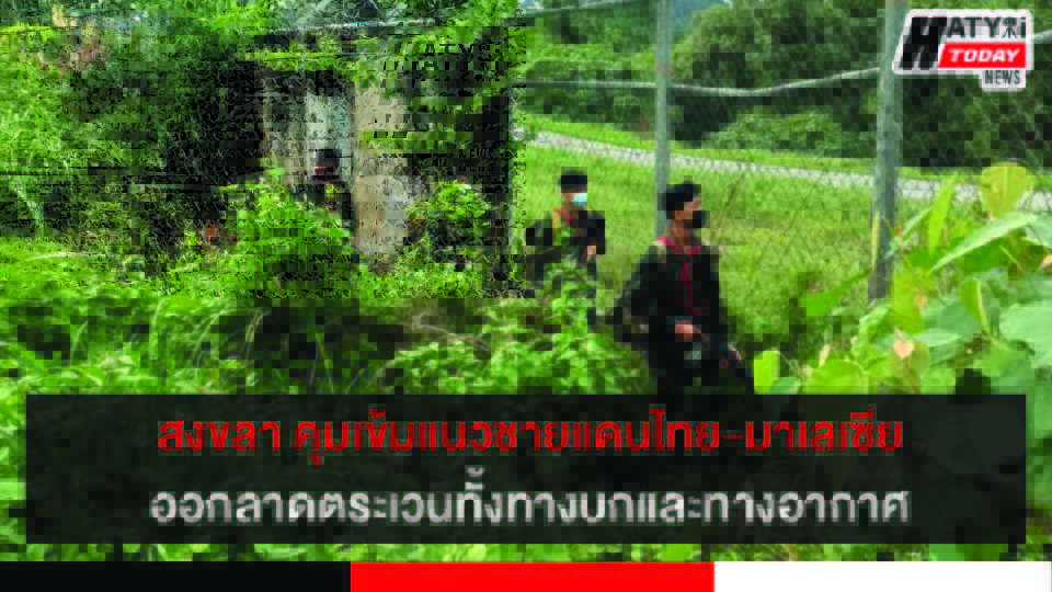 ปกข่าว 01