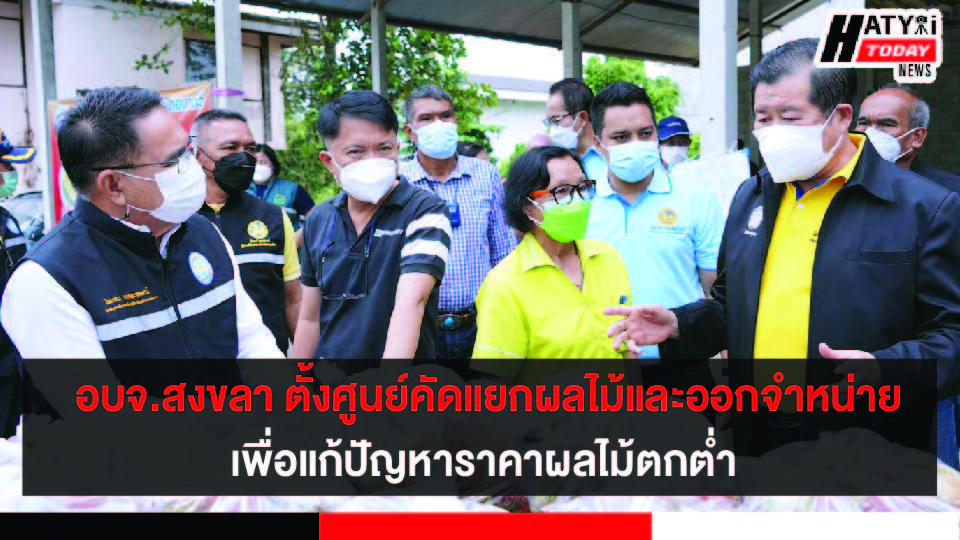 ปกข่าว 01