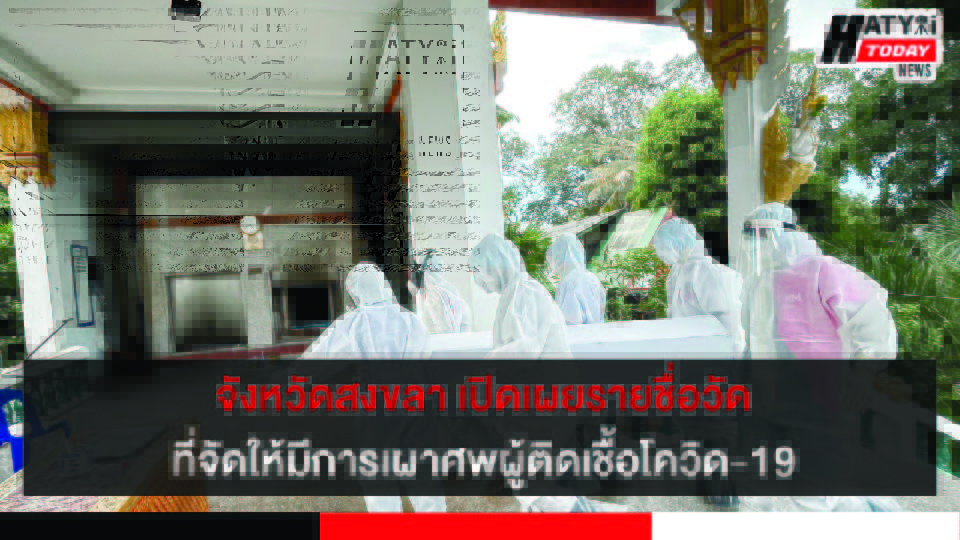 ปกข่าว 01
