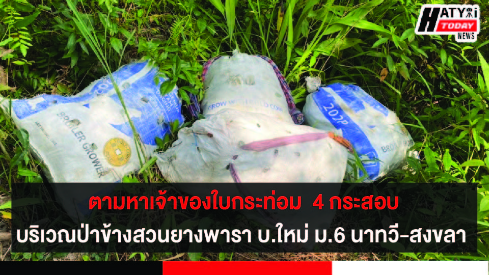 ปกข่าว 01