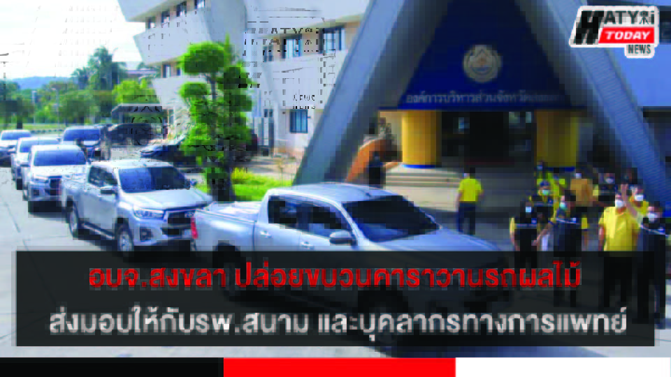 ปกข่าว 01