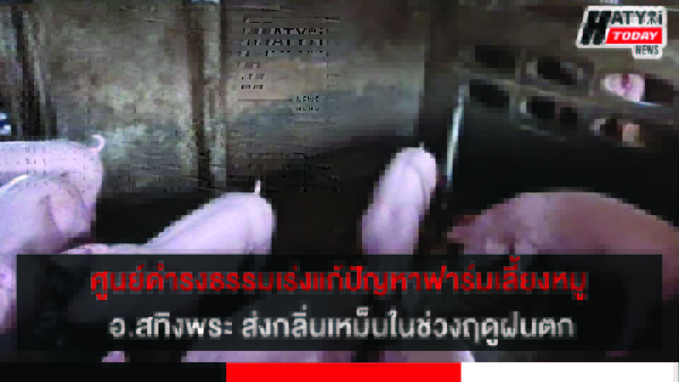 สงขลา ศูนย์ดำรงธรรมแก้ปัญหาฟาร์มเลี้ยงหมู อ.สทิงพระ ส่งกลิ่นในช่วงฤดูฝนตก 5 ปกข่าว 01