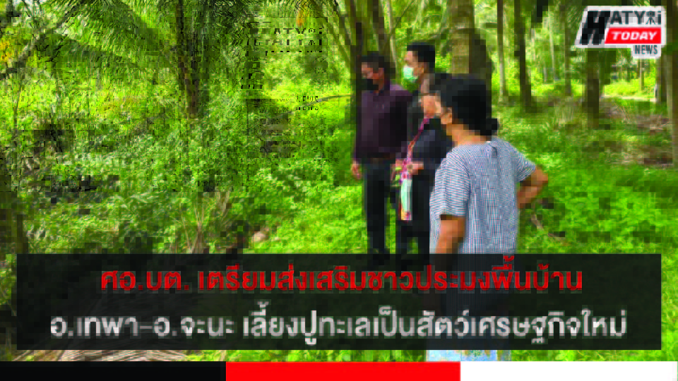 ศอ.บต. สำรวจพื้นที่แนวชายฝั่งอ่าวไทย อ.เทพา-อ.จะนะ เตรียมส่งเสริมชาวประมงพื้นบ้านเลี้ยงปูทะเลสัตว์เศรษฐกิจใหม่ 6 ปกข่าว 01