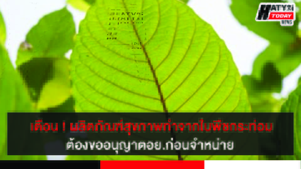ปกข่าว 01