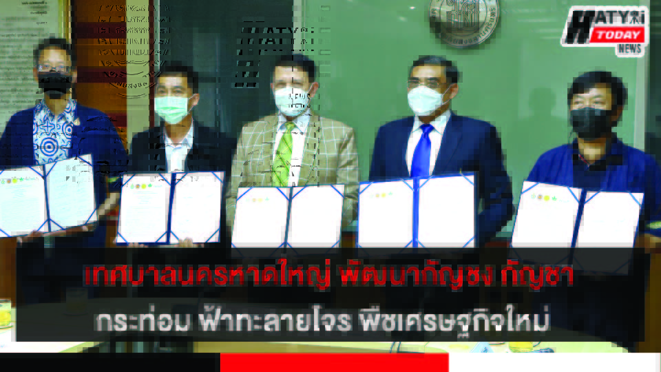 ปกข่าว 01