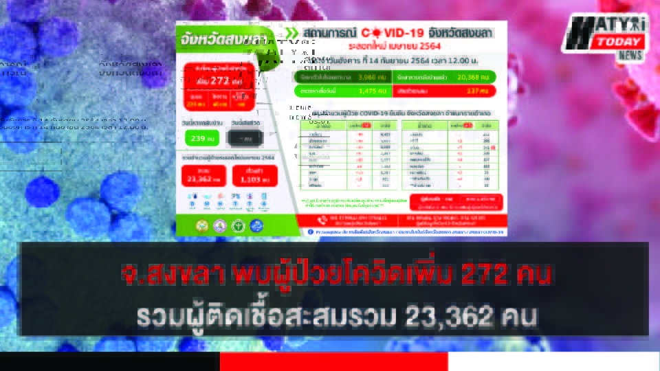 สงขลา พบผู้ป่วยโควิด 272 คน รวมผู้ป่วยโควิดระลอกเดือน เม.ย. สะสม 23,362 คน