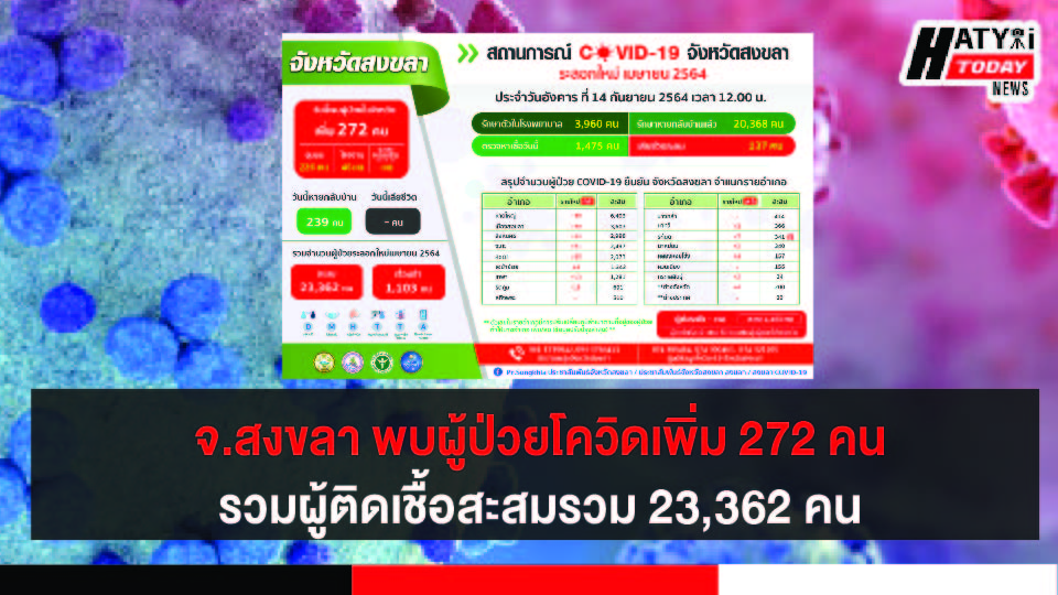 สงขลา พบผู้ป่วยโควิด 272 คน รวมผู้ป่วยโควิดระลอกเดือน เม.ย. สะสม 23,362 คน