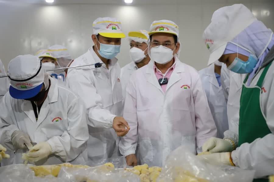จุรินทร์และนิพนธ์ หนุนขยายโรงงานแปรรูปทุเรียนสงขลา เป็นแหล่งรับซื้อผลไม้ชายแดนใต้ หวังสร้างงานในพื้นที่ 5 04a23d408f49219ed9c85256da334d15 Small