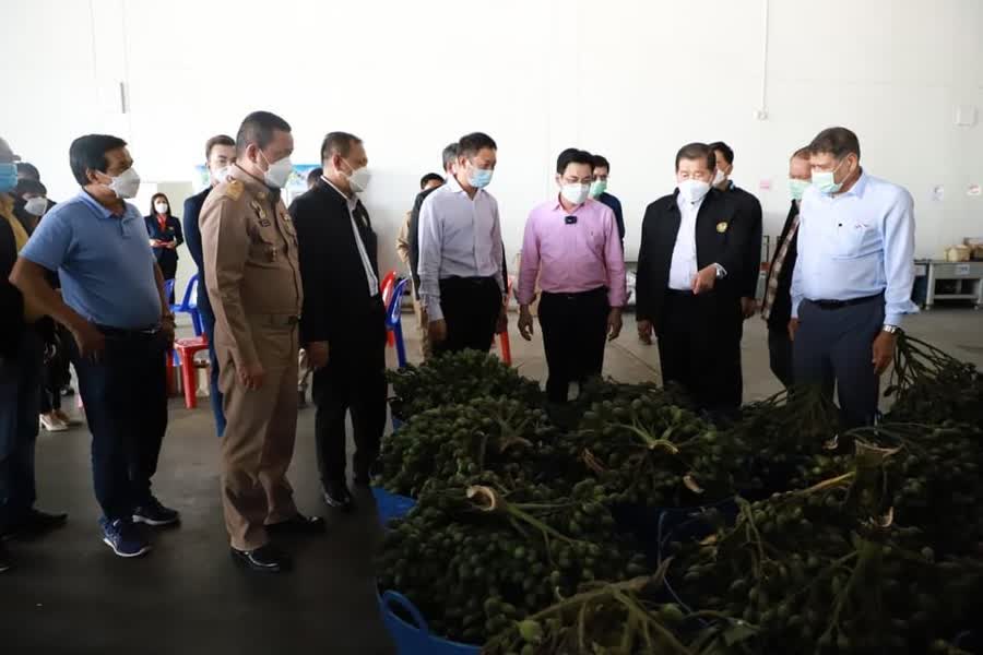 จุรินทร์และนิพนธ์ หนุนขยายโรงงานแปรรูปทุเรียนสงขลา เป็นแหล่งรับซื้อผลไม้ชายแดนใต้ หวังสร้างงานในพื้นที่ 4 B813a7d0669018cf2de3ff66e2268750 Small