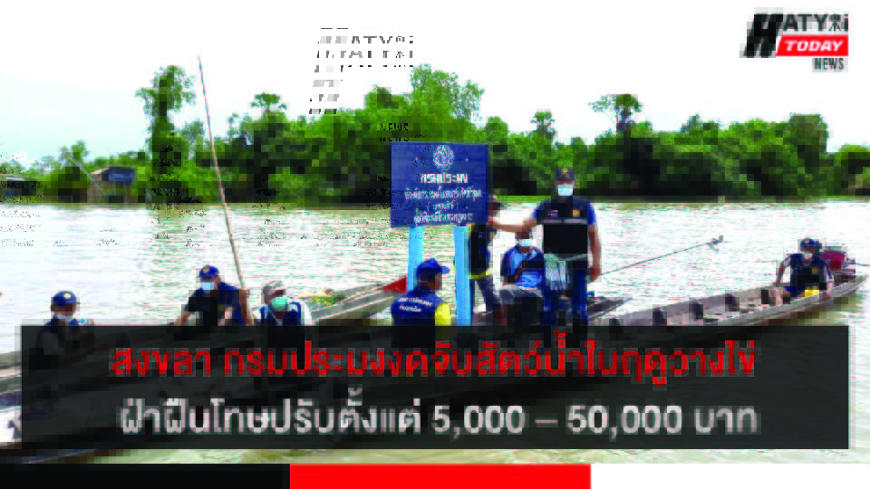 ปกข่าว 01