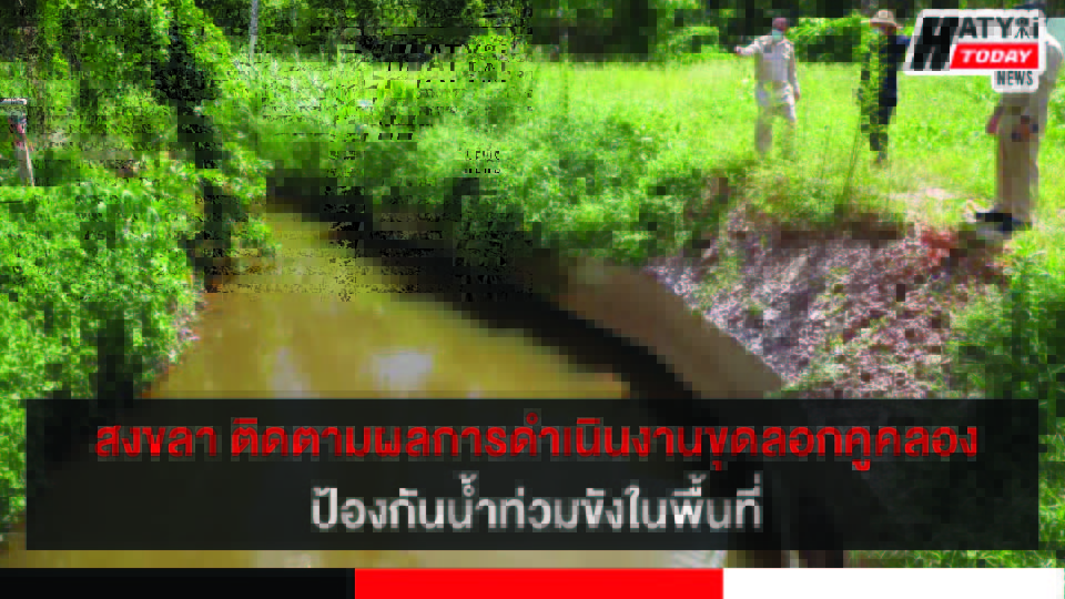ปกข่าว 01
